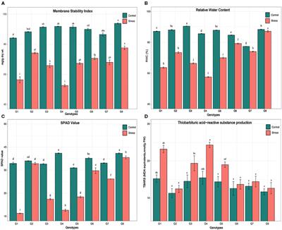 Differential Modulation of Heat-Inducible Genes Across Diverse Genotypes and Molecular Cloning of a sHSP From Pearl Millet [Pennisetum glaucum (L.) R. Br.]